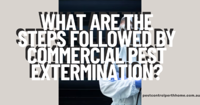 What are the steps followed by Commercial Pest Extermination?