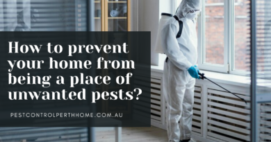 How to prevent your home from being a place of unwanted pests?