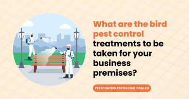What are the bird pest control treatments to be taken for your business premises?