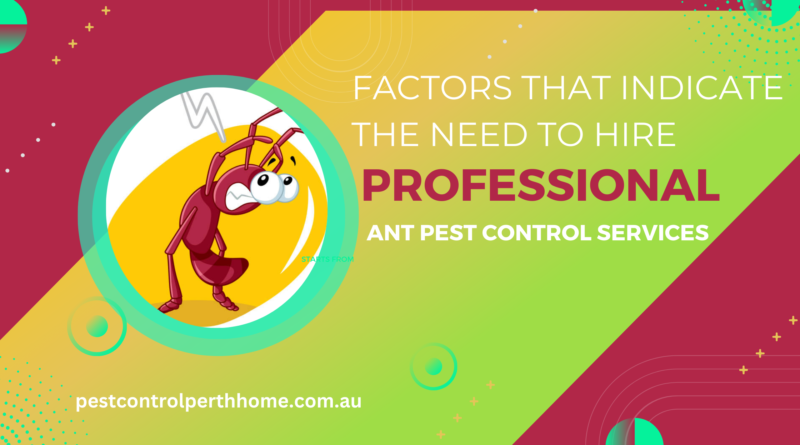 Factors that indicate the need to hire professional ant pest control services