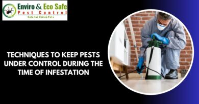 cockroach pest control in Perth